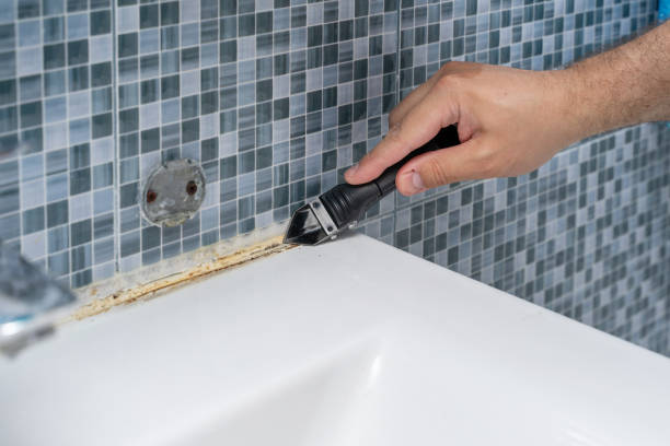 Office Mold Removal Services in Brookfield, NJ